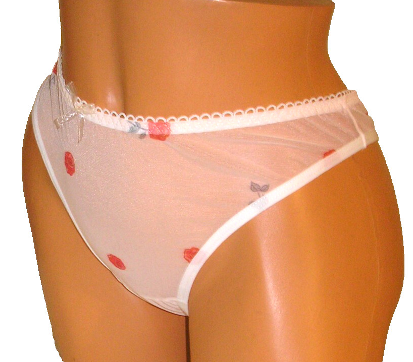 Rose Print Pastel Pink Mesh Thong Panties Lingerie, Large Adult Gift