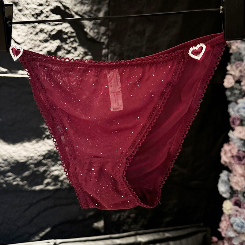 4Pack Lot Womens See Through French Panties Sheer Underwear Sexy Lingeries Brief