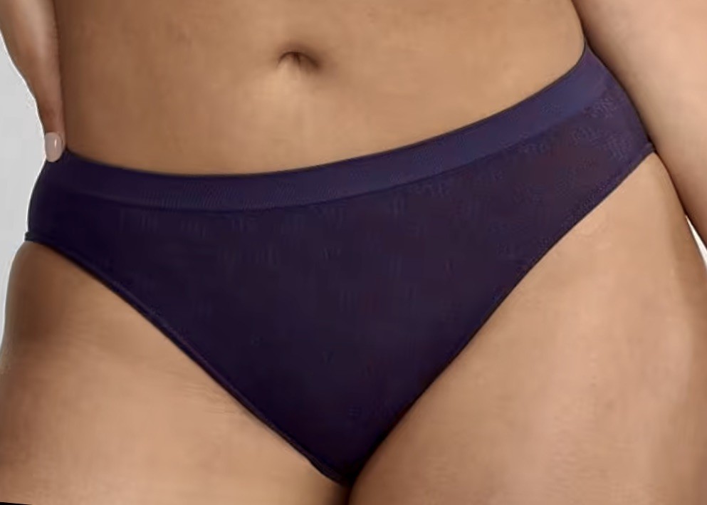 POLO RALPH LAUREN Monogram Mesh Aubergine Purple Bikini Panty Womens XS S M L XL