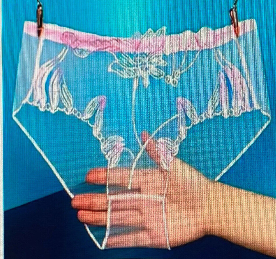 Pink Small Ultra Sheer Embroidered Retro Brief No Gusset Brief Panty NEW #300