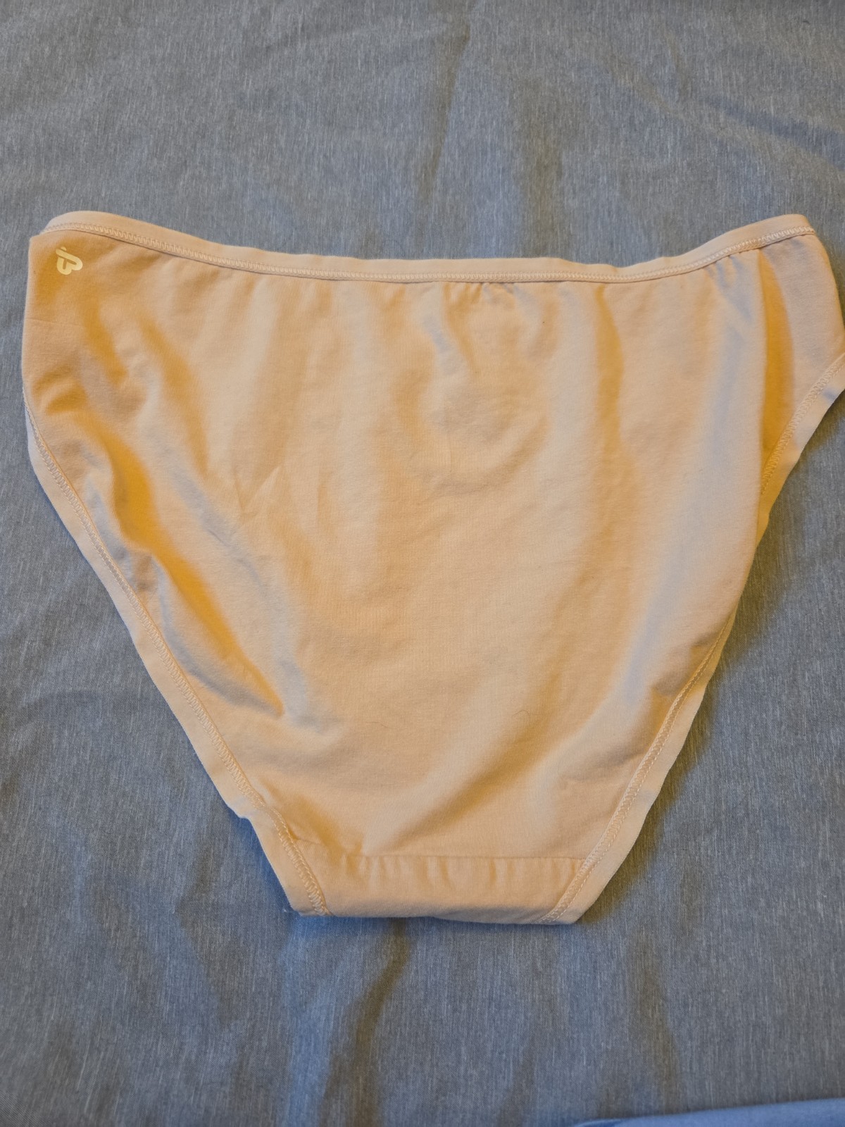Nwot PACT ORGANIC Cotton large Bikini Panties Beige