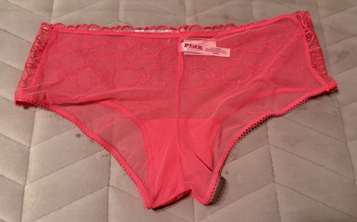Victoria’s Secret PINK Logo Pink Mesh Embroidered Hearts Cheeky Panty LARGE NWT!