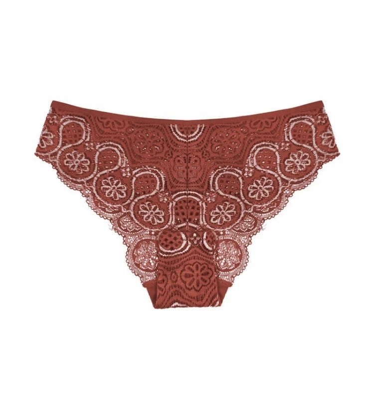 10 PCS Women Sexy Floral Lace Thong Panties Multi-Color Lingerie Underwear 2XL