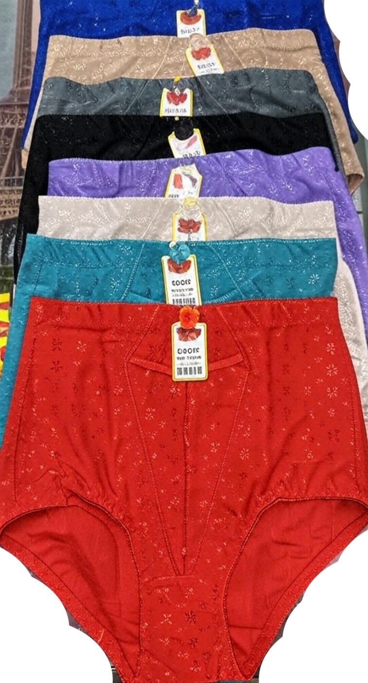 6 HIGH WAIST BRIEFS GIRDLES PANTIES TUMMY CONTROL TRAVEL SAFE POCKET