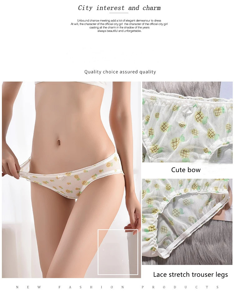 Mesh Lace Panties Low Rise Print Soft Breathable Stretch Briefs Fit Wear