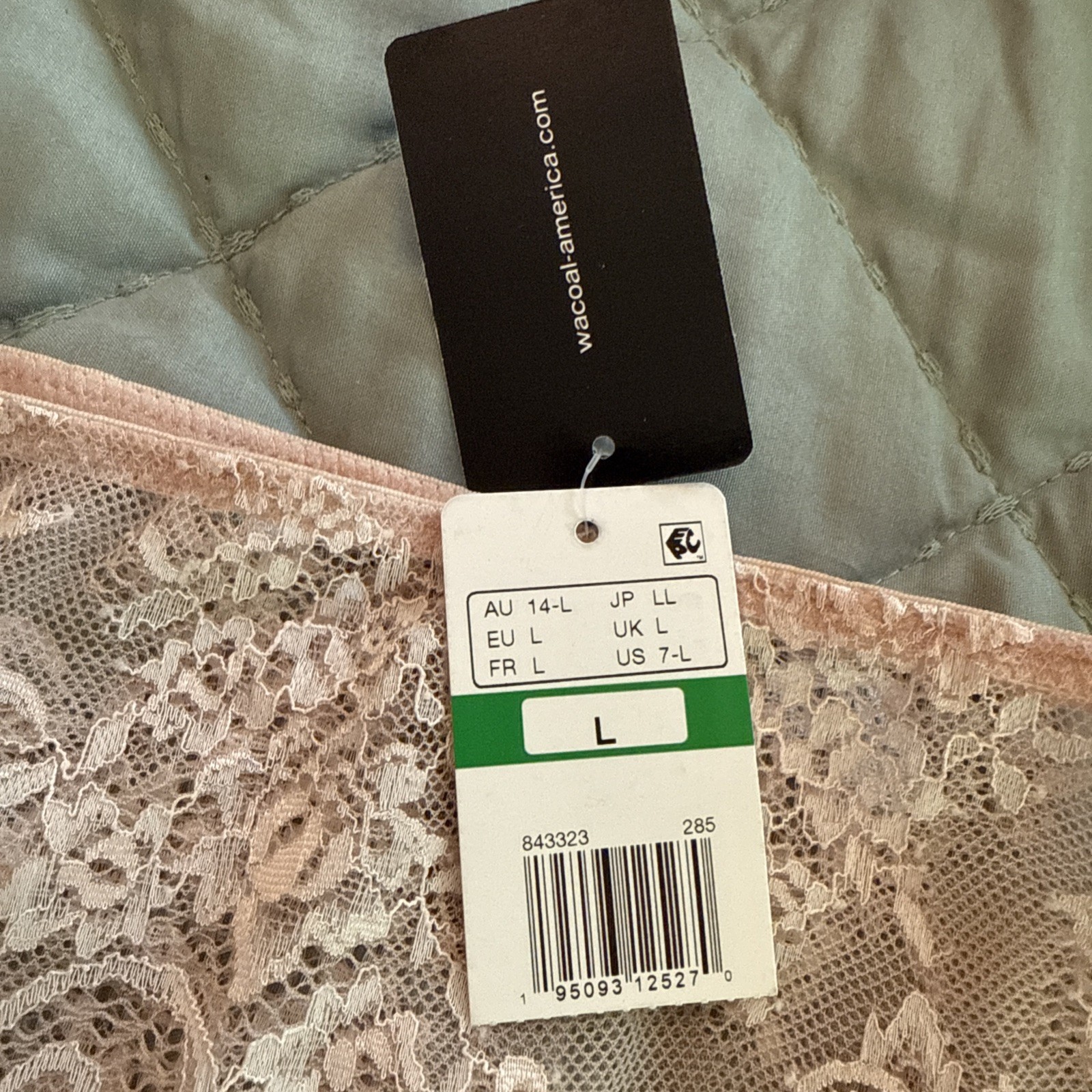 WACOAL 843323 BEIGE Hi-Cut Sheer Embroidered Lace Hip Panties 7 Lg Nylon Spandex