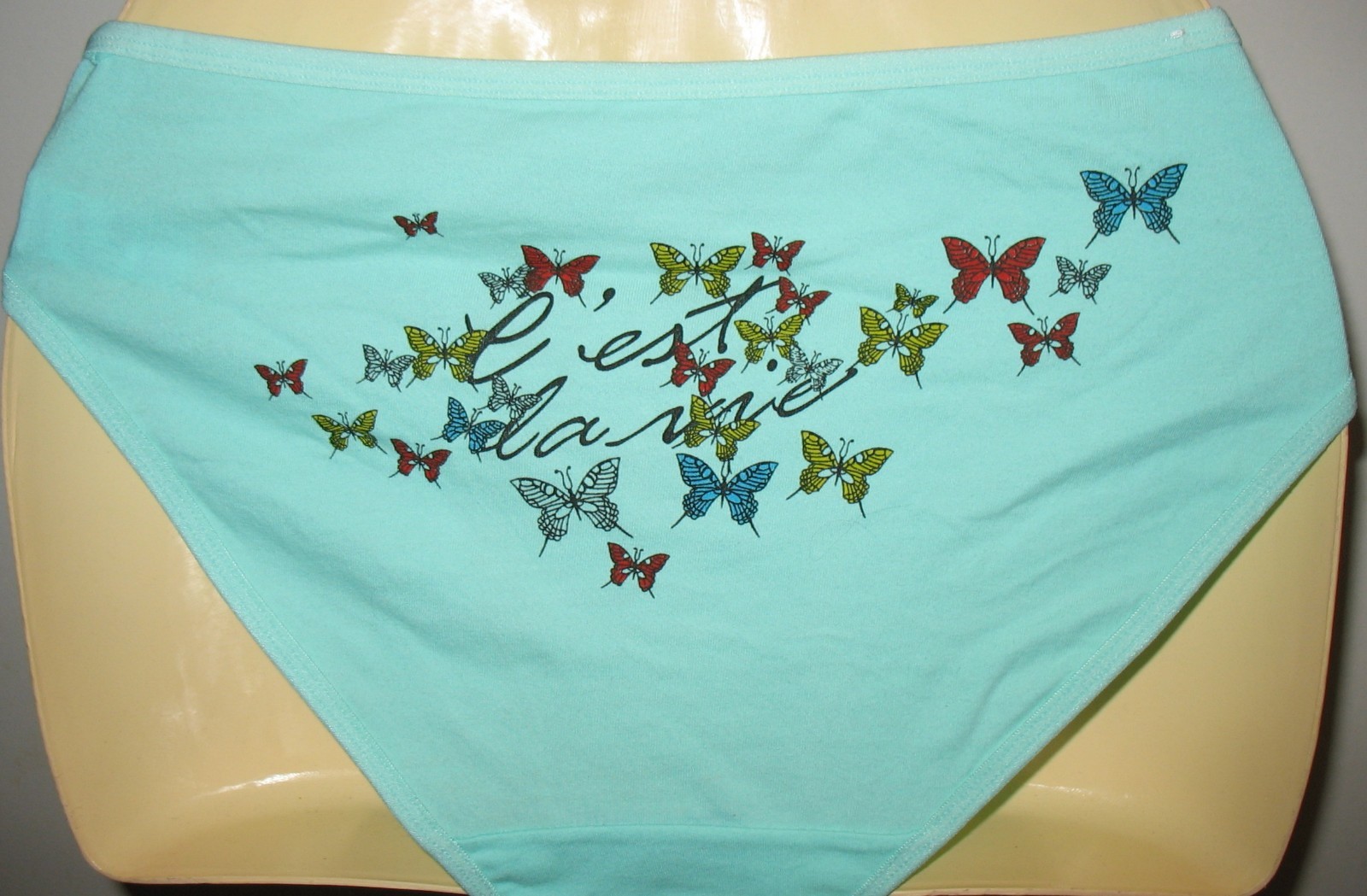 PANMANNI – NEW – SIZE: XL AQUA – COTTON STRETCH PANTY ” CEST LA VIE ” ON BACK