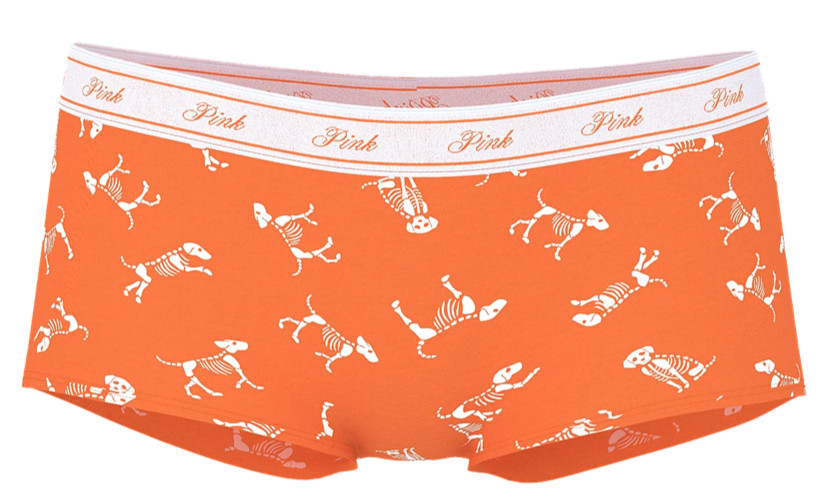 Victoria’s Secret Pink Logo Boyshort Panty Halloween Skeleton Dog Orange M L NEW