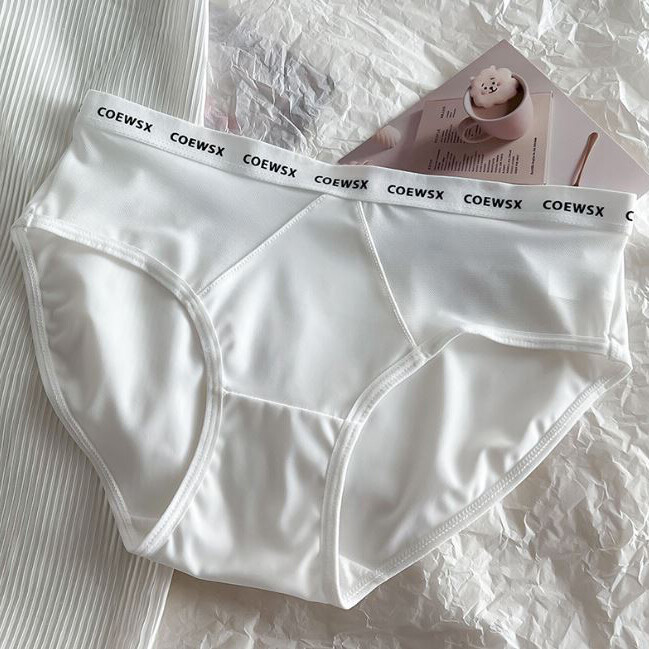 1/6 Pack Lot Womens Seamless Silky Panties Brief Sheer Nylon Underwear Lingeries