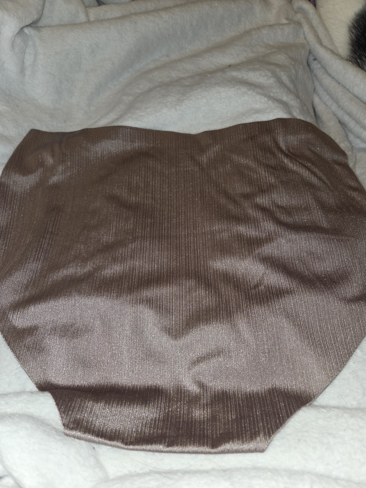 NWT Mopas Beige Shiny Soft Women’s Brief Panty Seamless Full Cov Size Medium 6