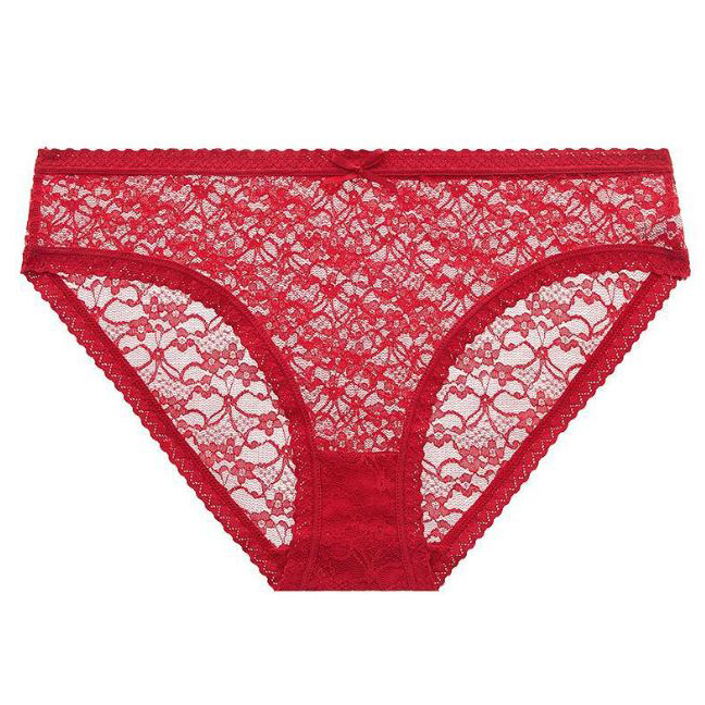5 Pack Lot Sexy Womens See Through Lace Sheer Panties Briefs Underwear Lingeries
