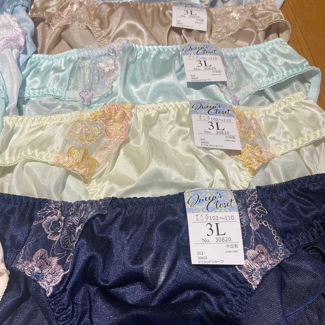 Japanese Glossy Nylon Panties Floral Lace Brief Set of 10 US size L-XL JP 3L