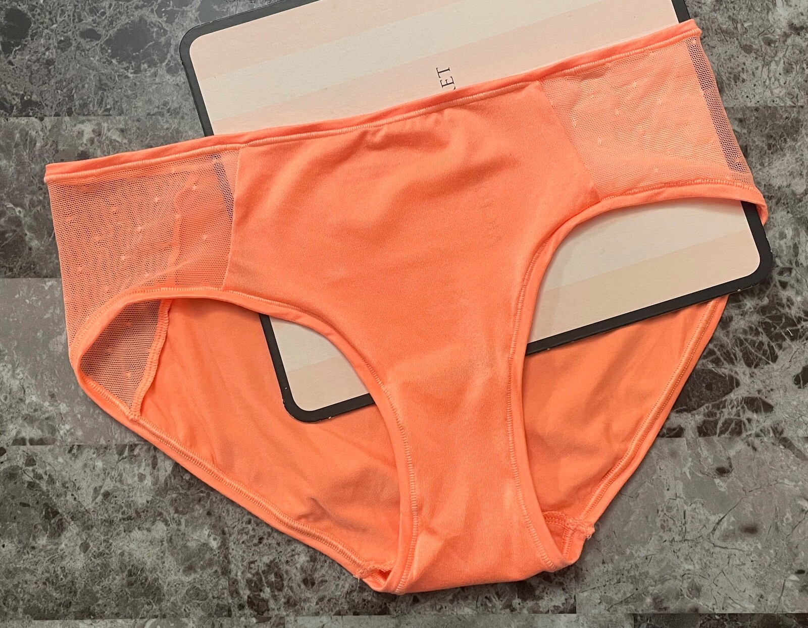 NWT VICTORIA’S SECRET FABULOUS L PEACH MESH SATINY SMOOTH RARE HIPHUGGER PANTIES