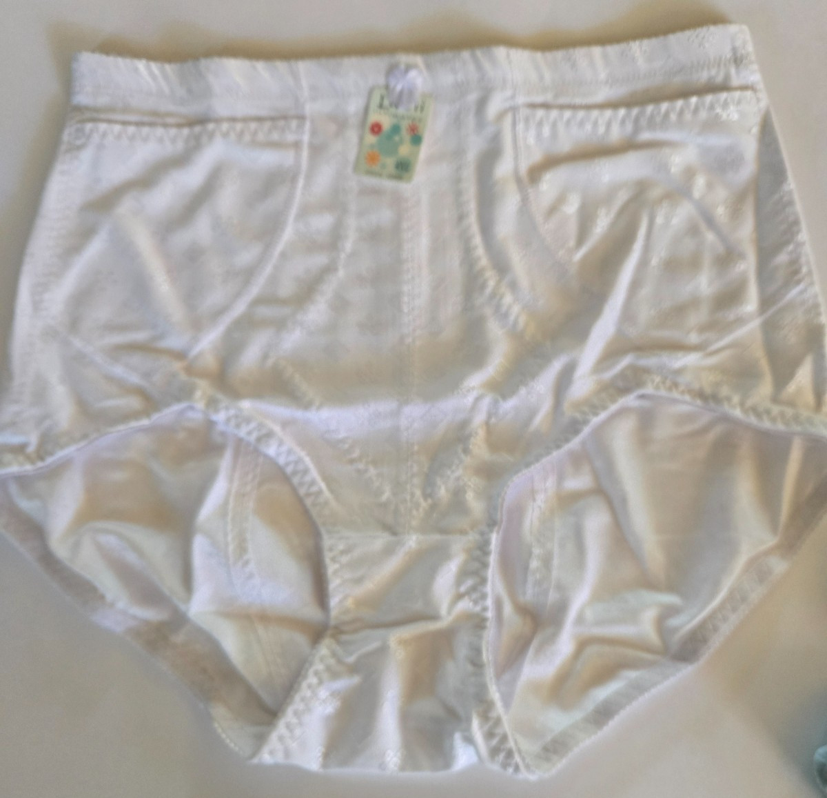 3NWT LUCII WOMENS 2POCKET POLYESTER TRAVEL BRIEF PANTY GIRDLE BOTTOM SUPPORT 4XL