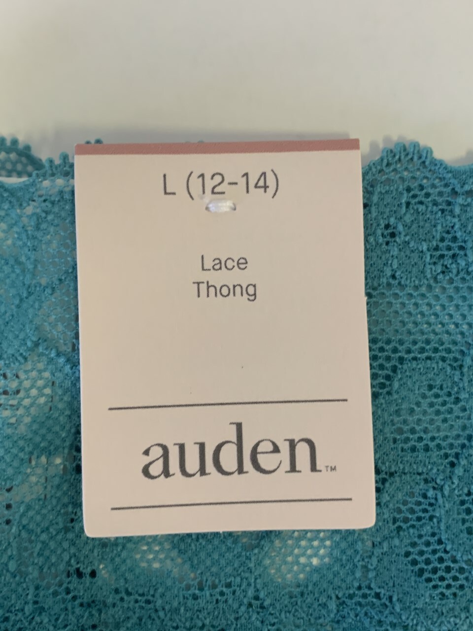 Auden Women’s All Over Lace Thong Turquoise (L 12-14)