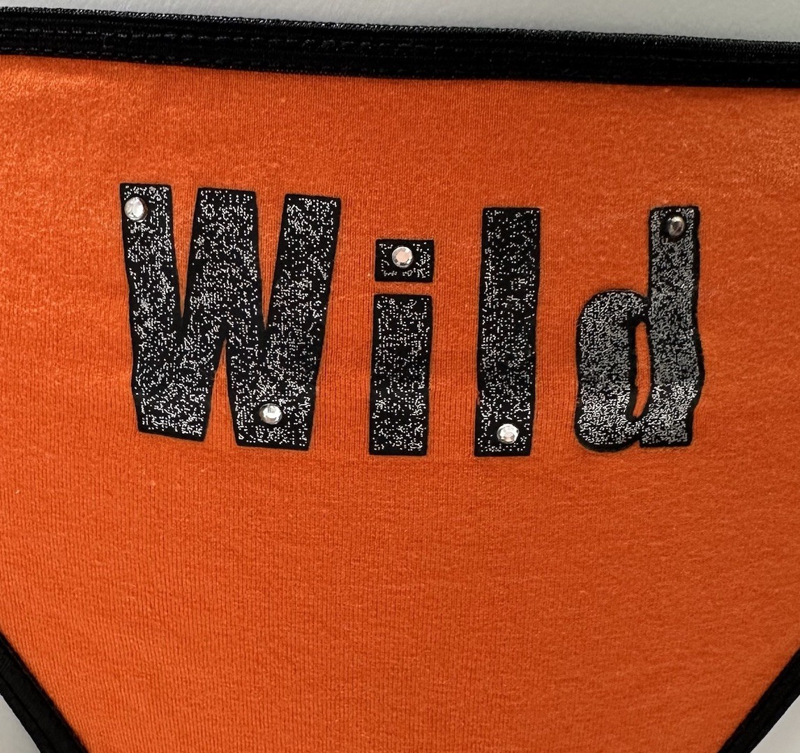 Vintage Y2K WILD String Thong Panties Size 8 Orange McBling Rhinestone NWT