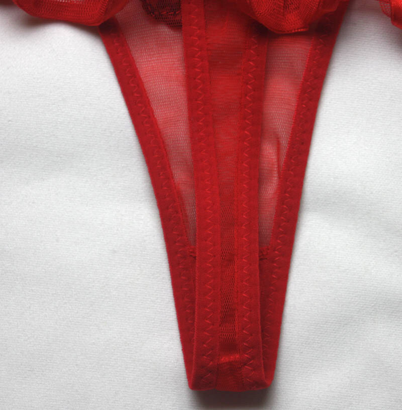 Ruffled Sheer Red Mesh Butterfly Lowrise Thong – Size Medium