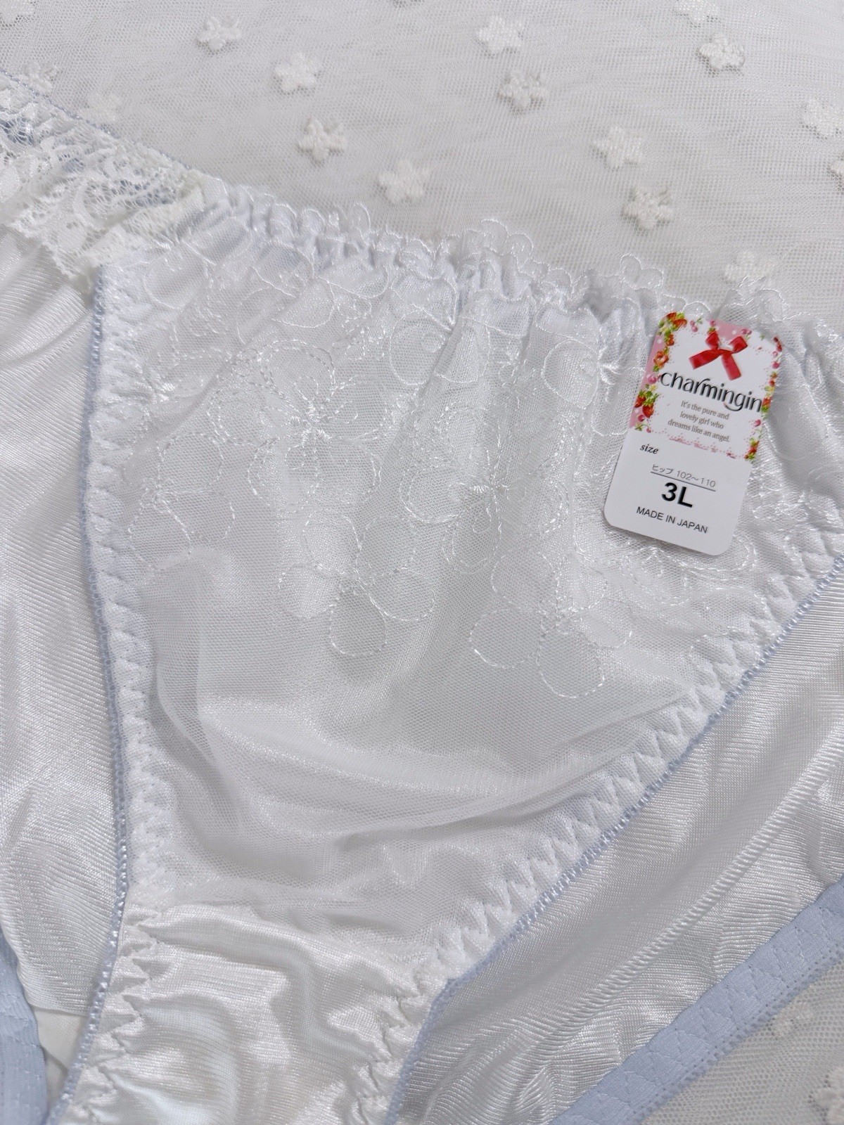 Set Of 6 US-L/JP-3L Japanese Embroidery Bikini Glossy Tricot Nylon Panties