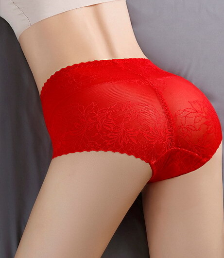Women Briefs High Waist Lace Mesh Floral Hip lift Plus Size Underpants 90461