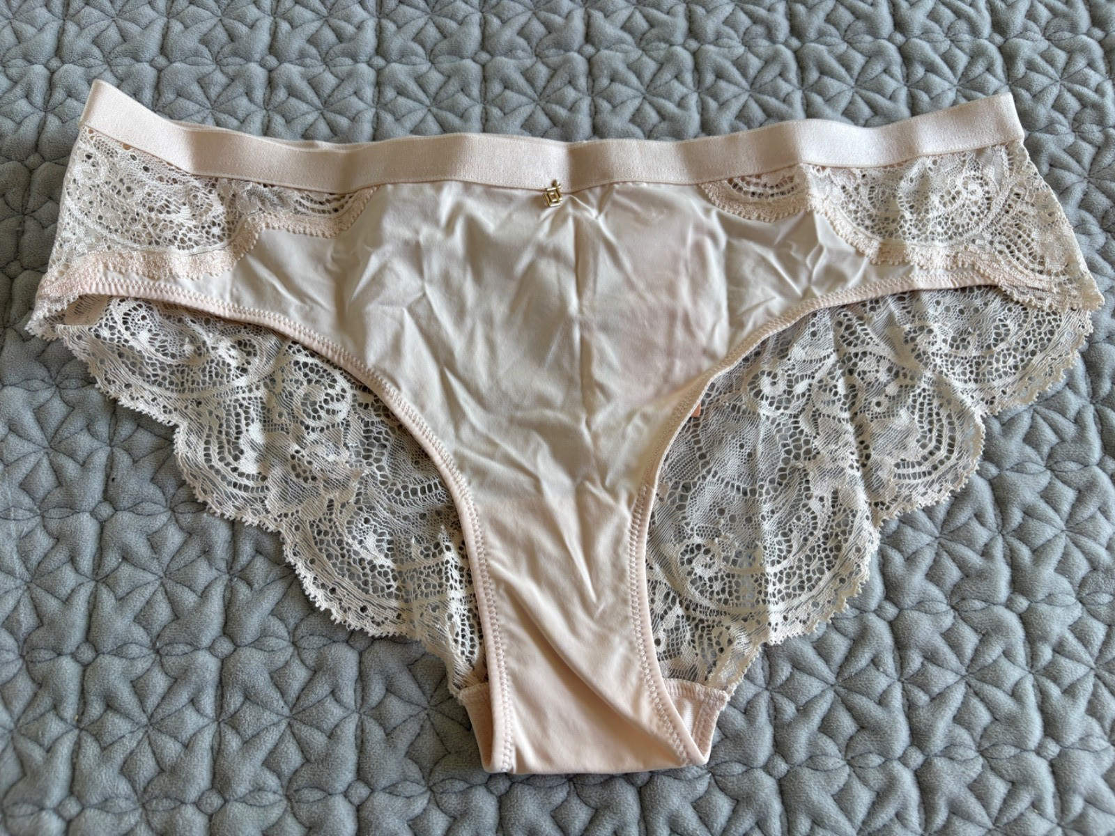 THIRD LOVE CHEEKY LACY PANTY SIZE LARGE NEW WITH TAGS