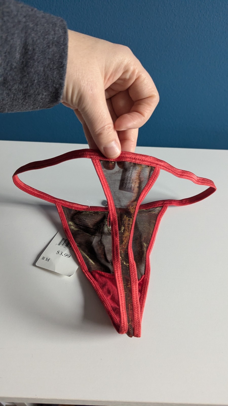 VTG Y2K Mesh Thong M Panties String Bikini Simple Pleasures Charm Jewelry HTF