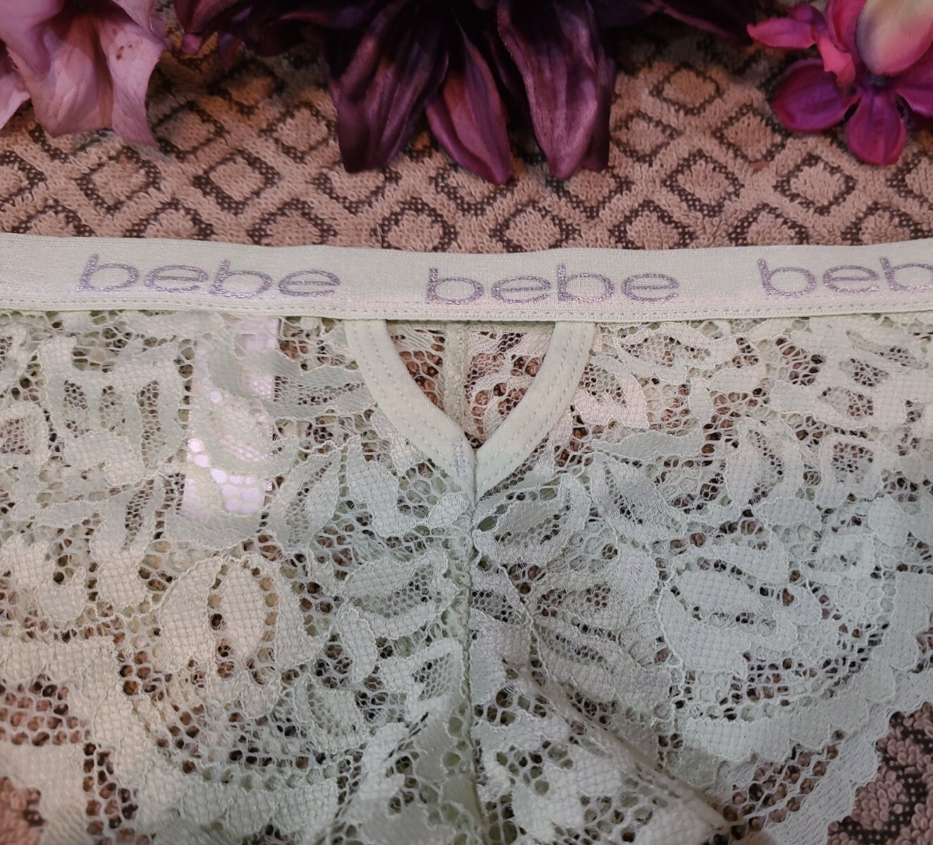 BEBE LOGO Sexy Sheer Lace SeXY Green Lace Cheeky Tanga Panties L/7 nwot