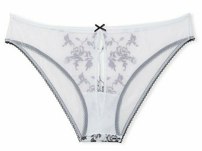 VICTORIAS SECRET DREAM ANGELS EMBROIDERED LACE KEYHOLE CHEEKY PANTY XS S M L XL
