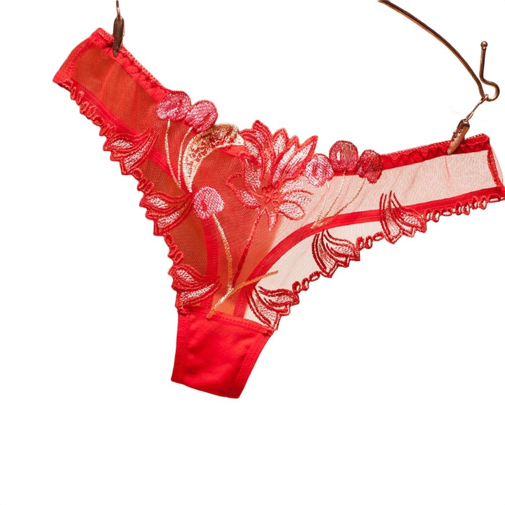 Women Embroidered Triangle Transparent Mesh Underwear Nylon Spandex Blend