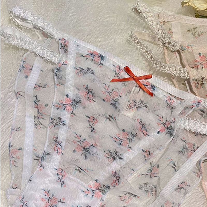 5 Pack Lot Sexy Womens See Through Sheer Panties Lingerie French Underwear Brief