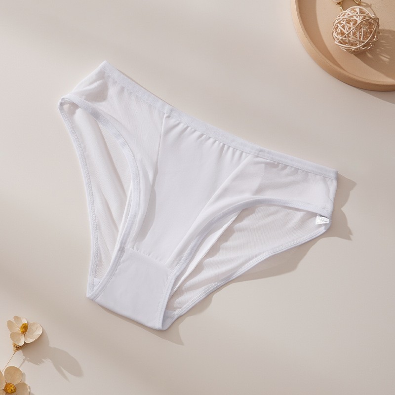 4 Pack Lot Sexy Ladies Womens Sheer Panties Underwear Briefs Lingeries Bikinis