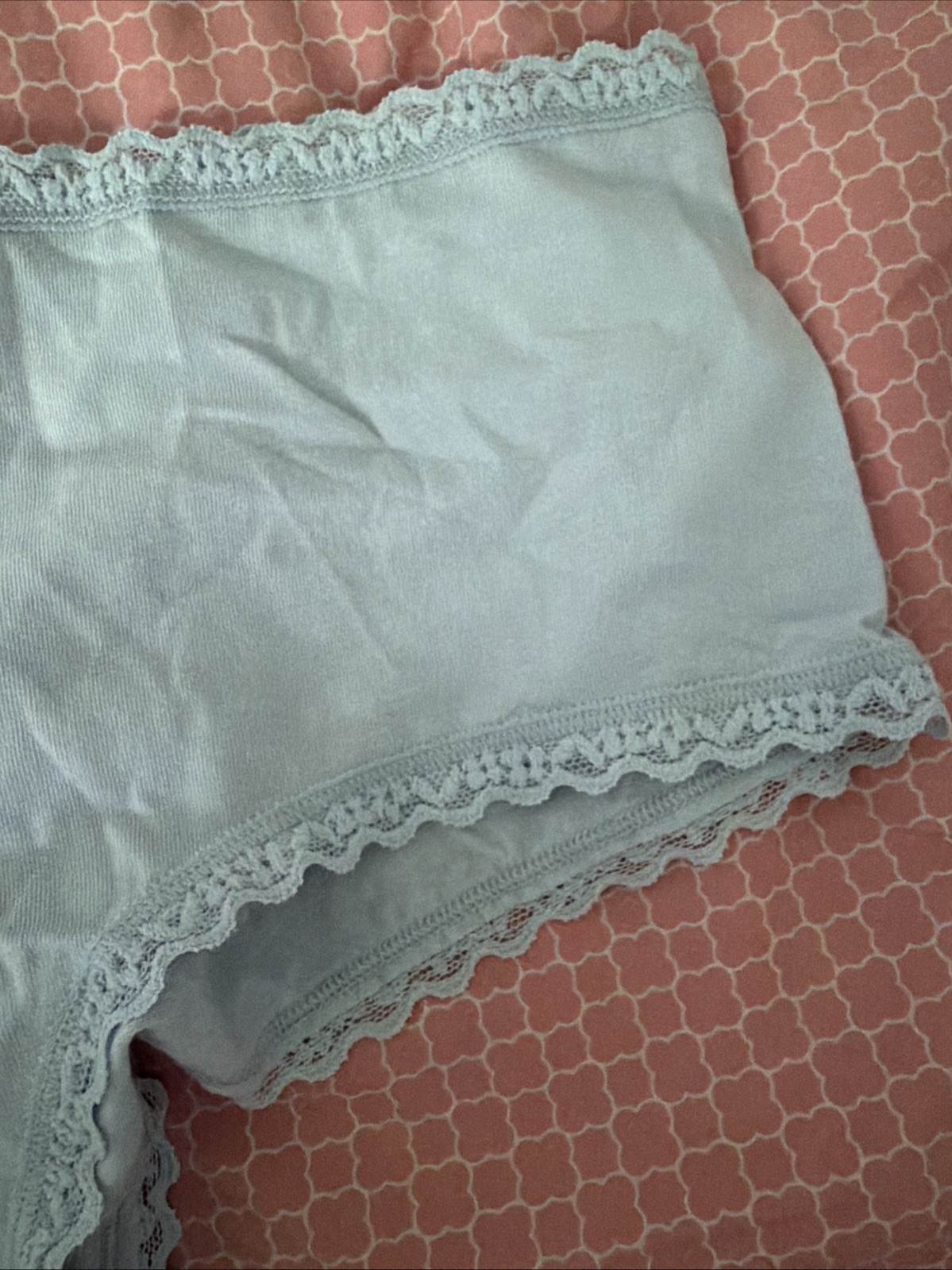 Nwt Victoria’s Secret Cotton Lace-Trim Cheeky Panty Powder Blue Sz Xlarge