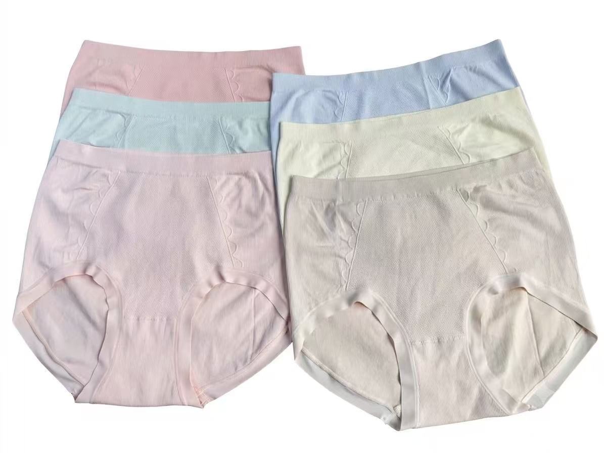 6ps Plus Size High-Waisted Nylon Minimalist Comfortable Women’s Pantie 155-240LB