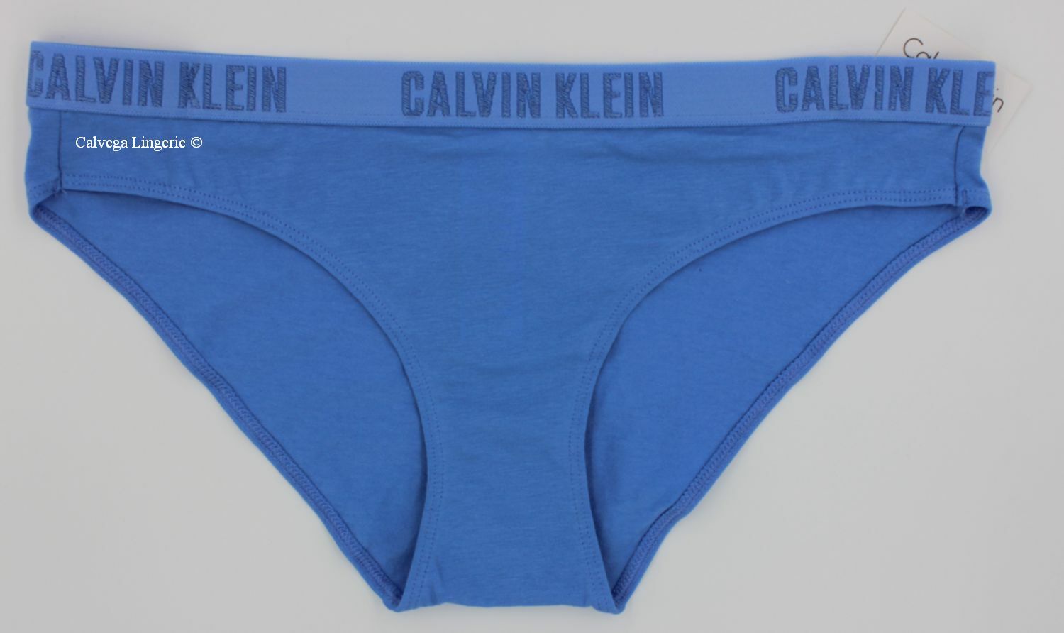 NWT Calvin Klein QP1999 “Logo” Mid-Rise Cotton Bikini, Light Blue (952)