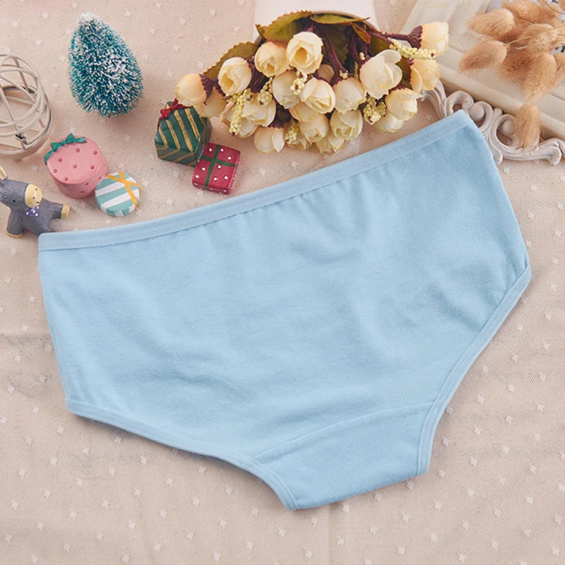 7Pcs/Lot Plus Size Underwear Women’s Panties Cotton Girl Brief Sexy Lingeries