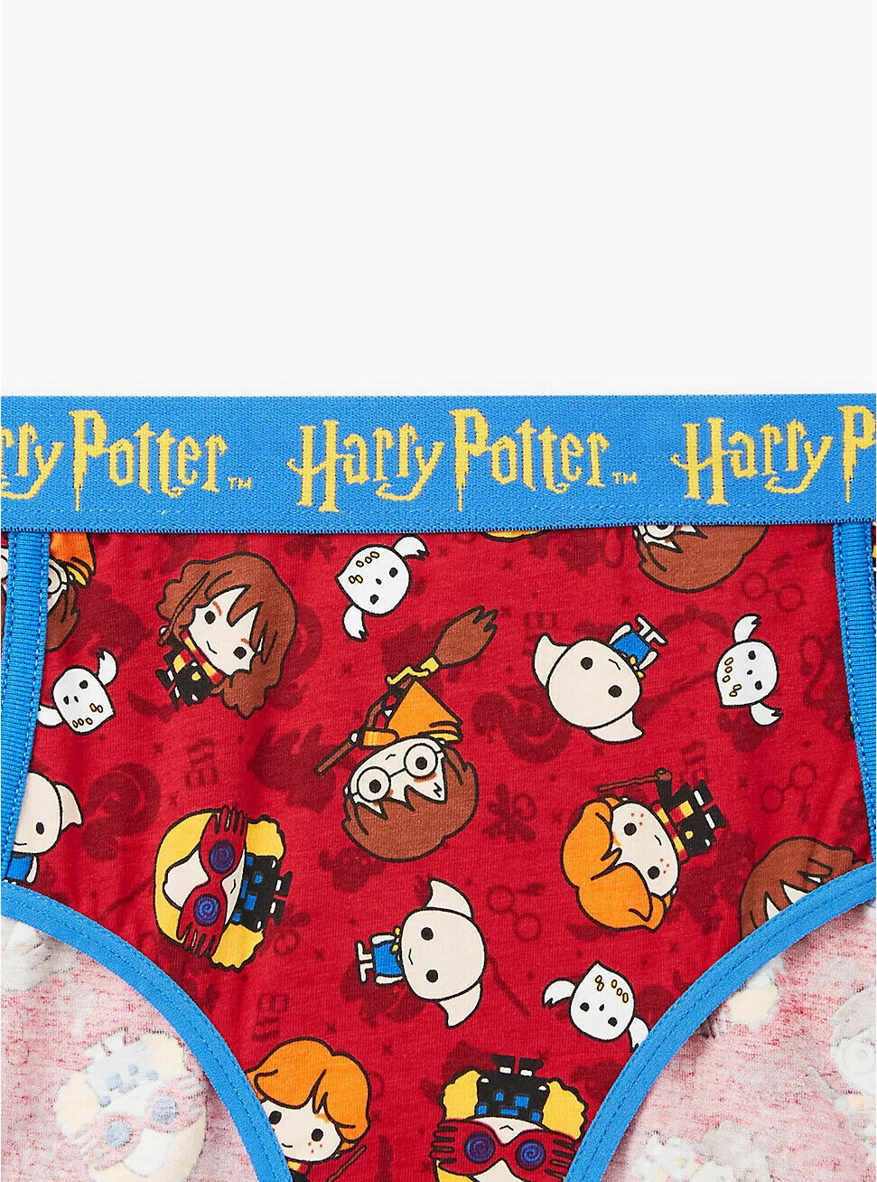 Torrid HARRY POTTER emoji characters cotton hipster panty NWT 1x 2x 3x