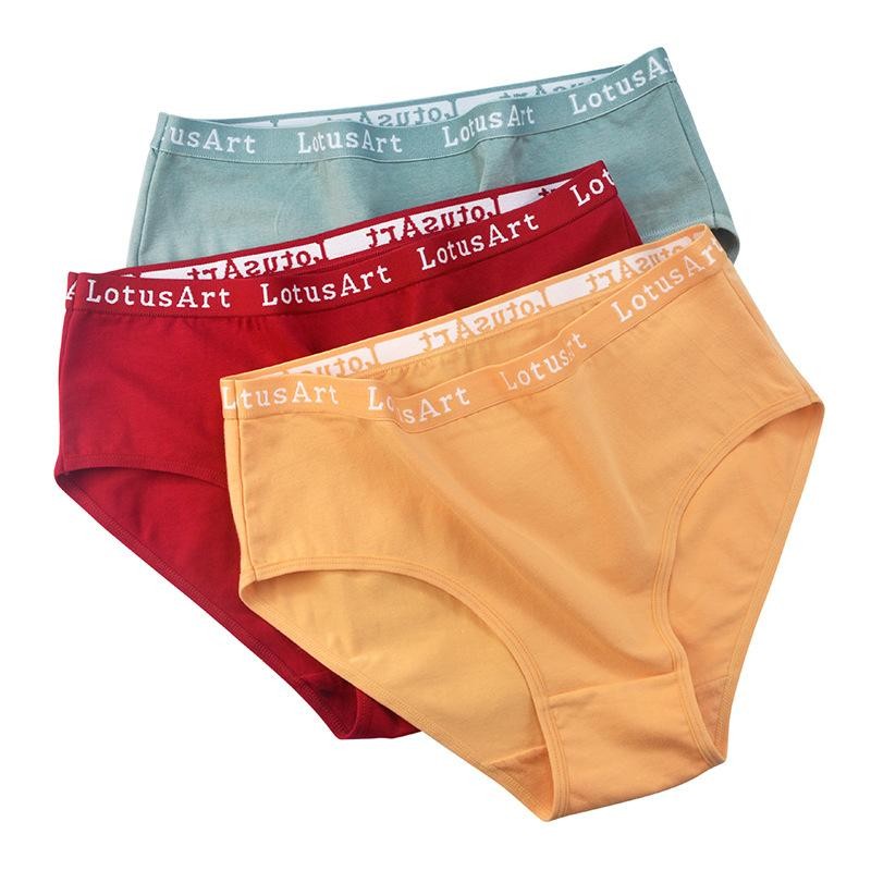 2 Pcs Plus Size Mid High Waist Panties Women’s Pure Cotton Women’s Briefs
