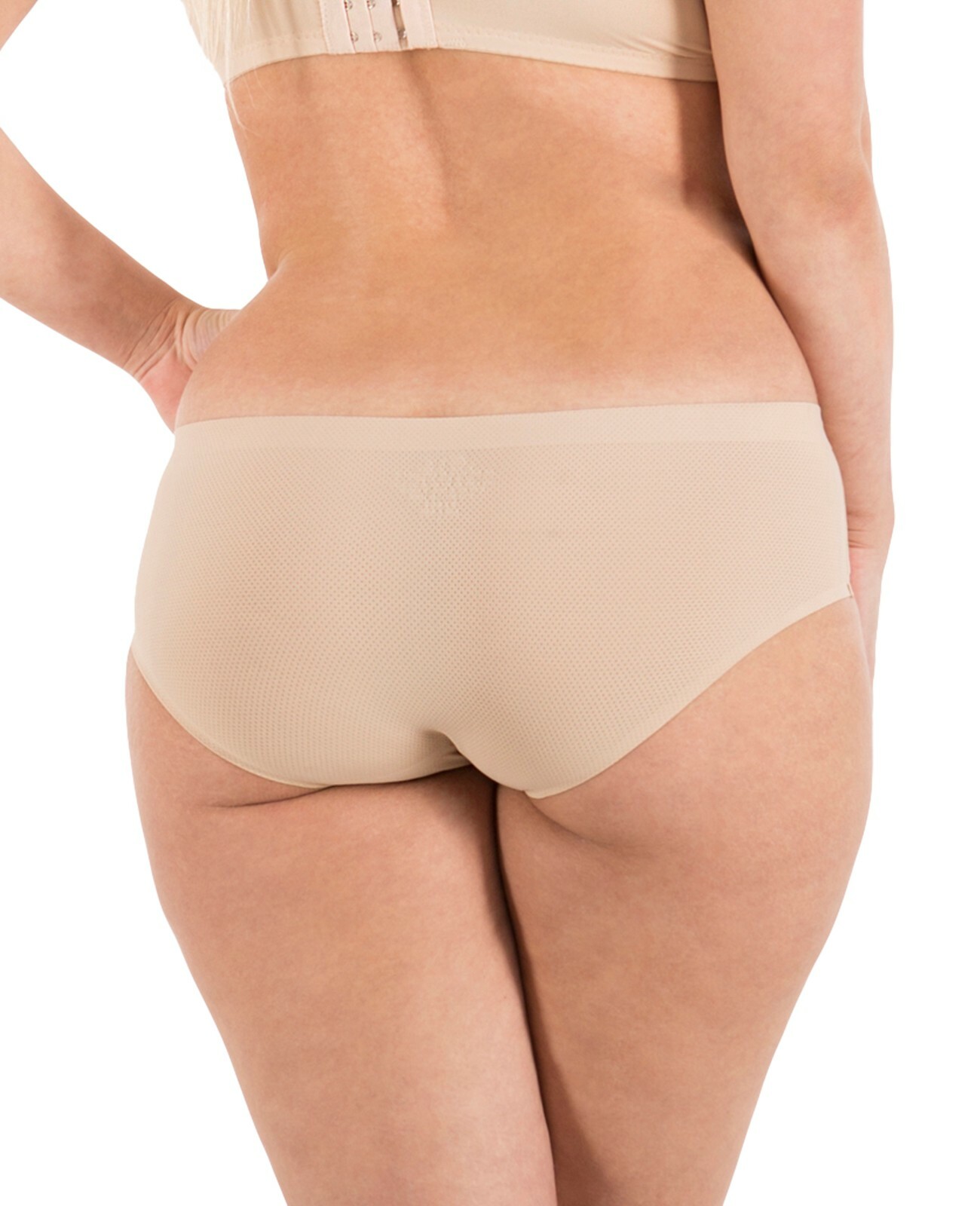Barbra Seamless No-Show Womens Bikini Underwear Small to Plus Size Multi-Pack