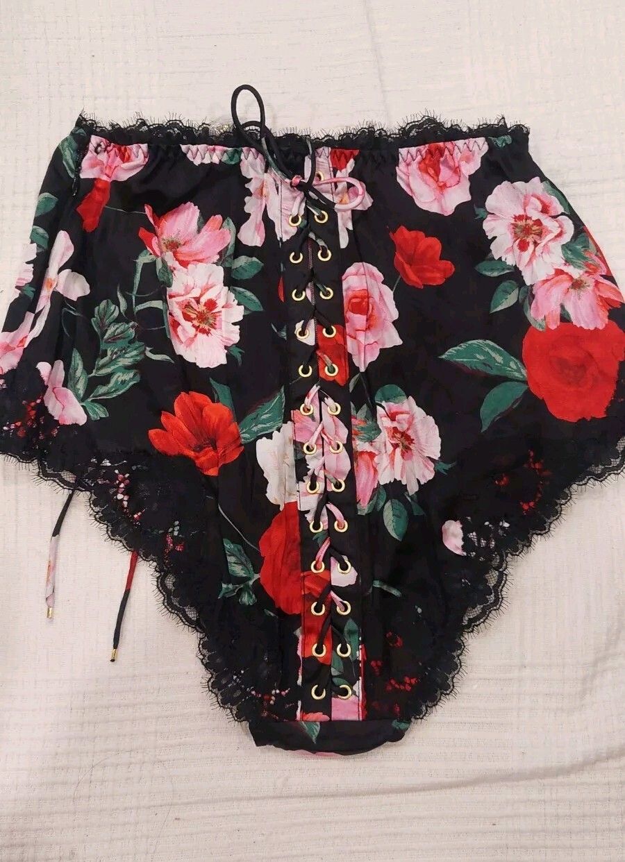 $150 VICTORIA’S SECRET ATELIER SILK LACE TRIM HIGH WAIST BRIEF PANTY S NEW W/T