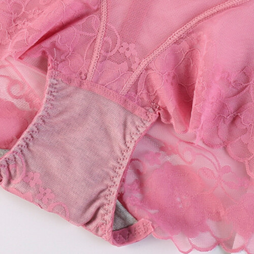 5 Pack Lot Sexy Womens Sheer Lace Panties Briefs See Through Underwear Lingeries