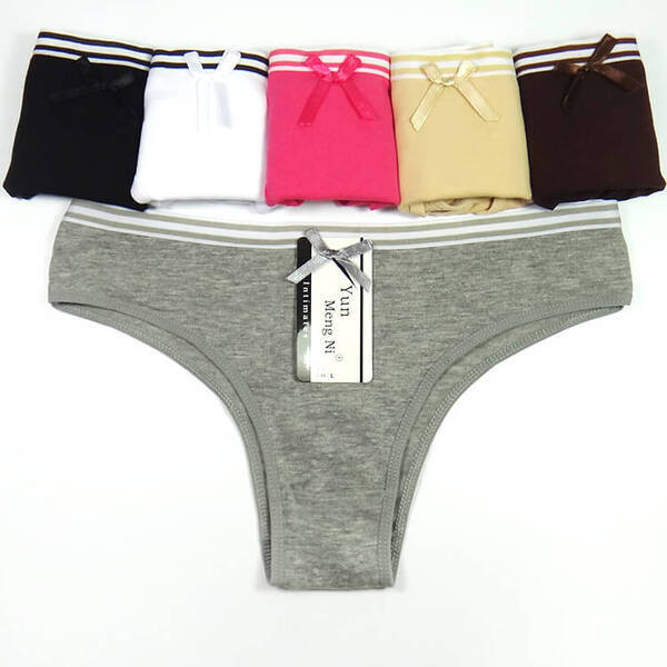 6 x Womens Sheer Spandex / Cotton Briefs – Assorted Colours Underwear Undies
