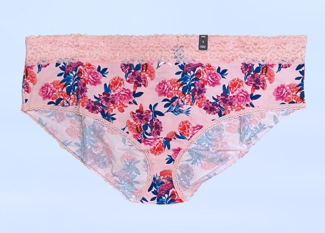 New! TORRID 6 Women’s Pretty Garden Pink Cotton Mid-Rise Hipster Lace Trim Panty