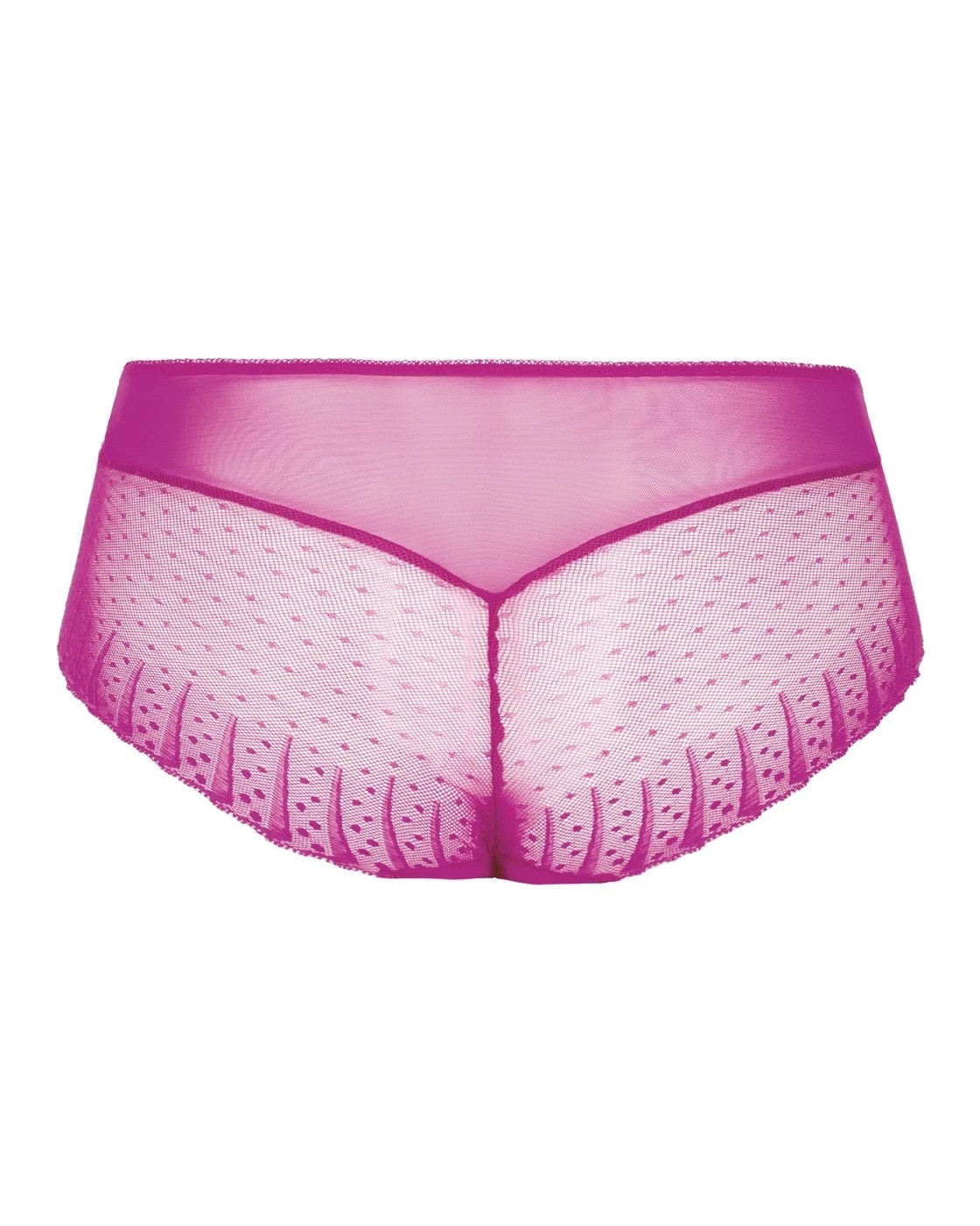Empreinte Amour Panty High Rise Flattering Luxury Lace Knickers 05225, XL – 16