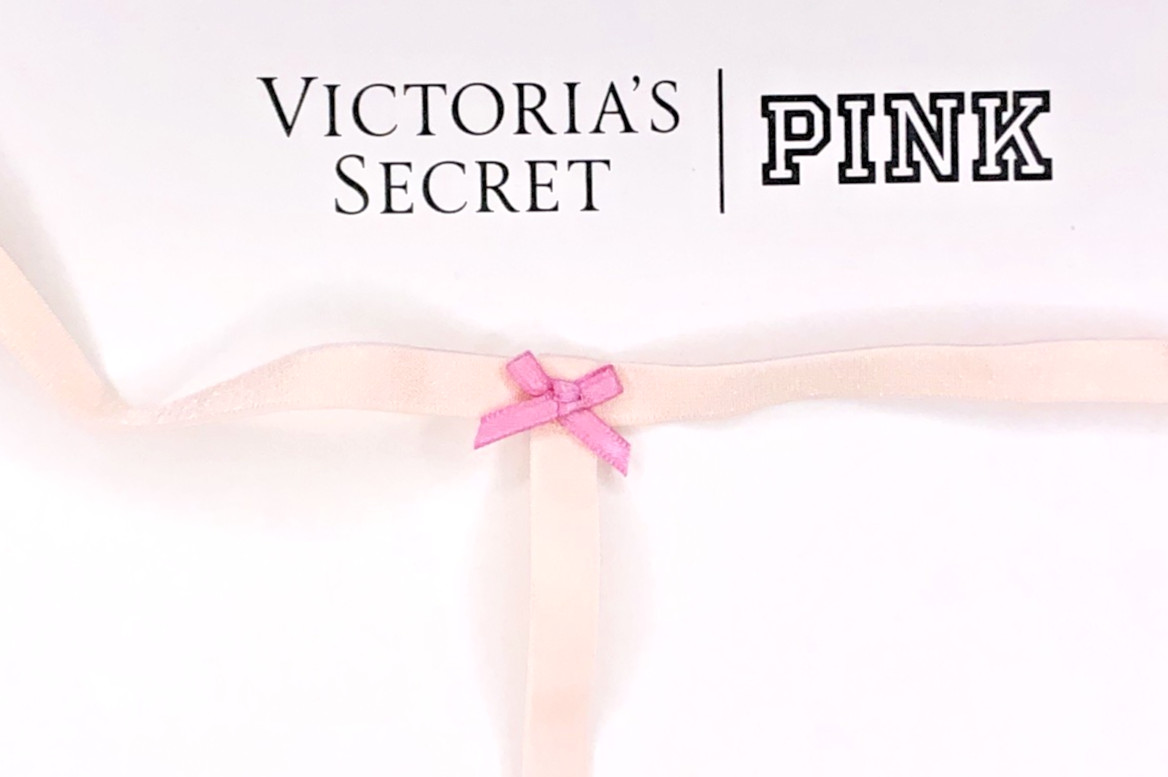 Victorias Secret Dream Angels NWT Large Pink Bloom Embroider V String Panty Sexy