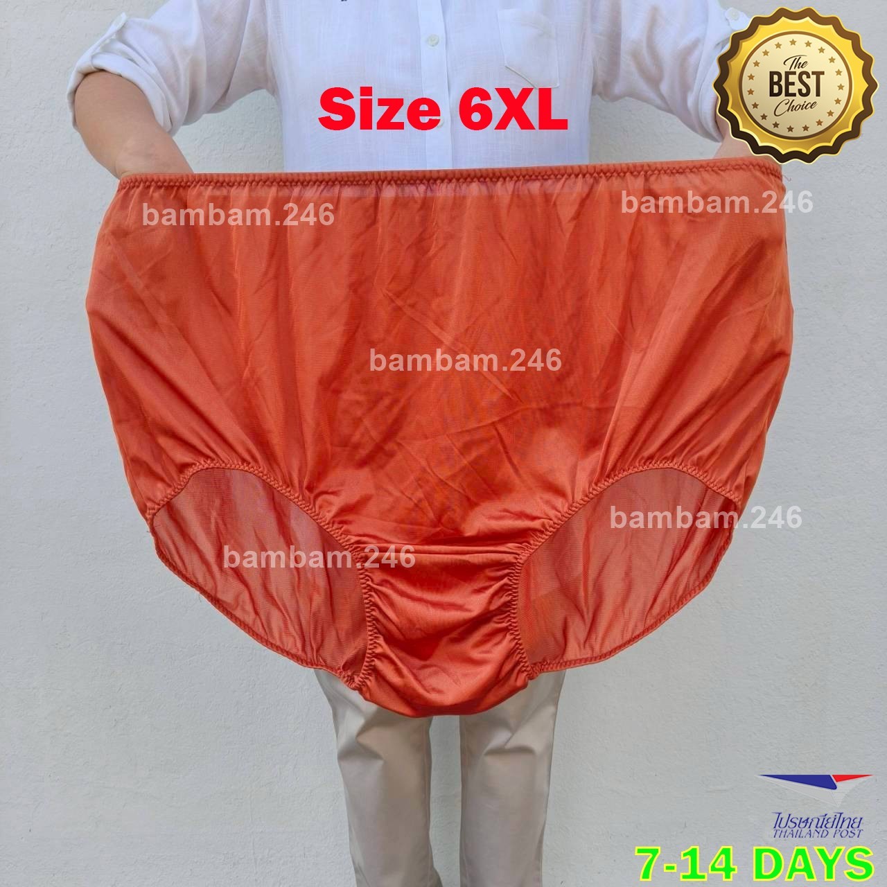 Vintage Women’s Men’s Underwear Plus Size 6XL Full Cut Whole Nylon Panties Brief