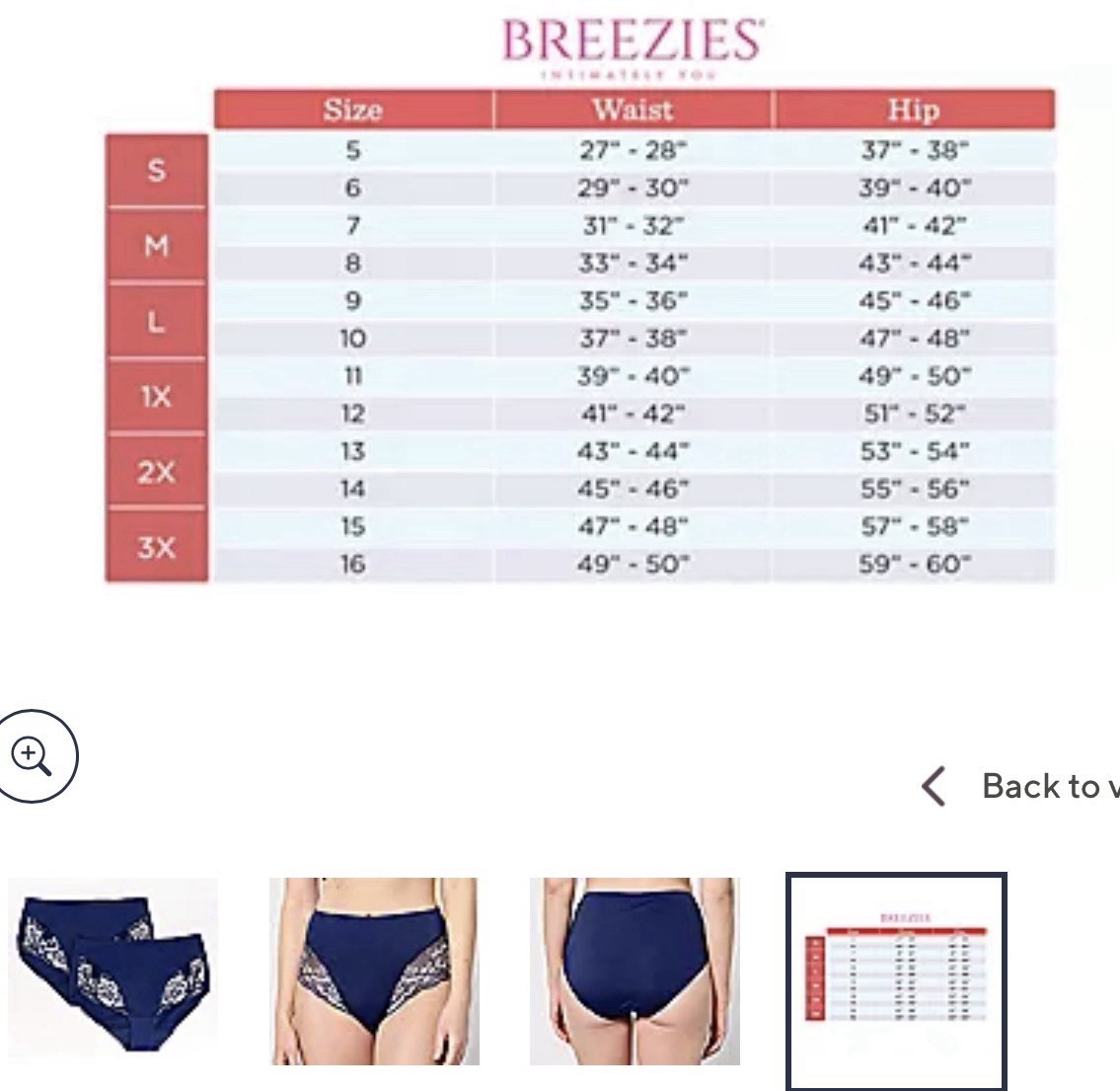 Breezies Navy Blue High-Waist Briefs with White Lace 2 pack NWT