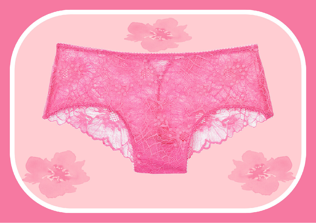 S M L XL Spring Pink FLORAL LACE w Back Detail Victorias Secret CHEEKY Panty