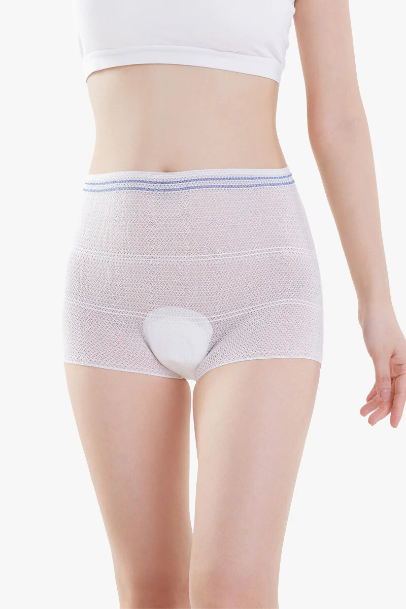 SHAPEE 5pcs Postpartum Mesh Panties High Elastic Band Reusable Soft Comfortable