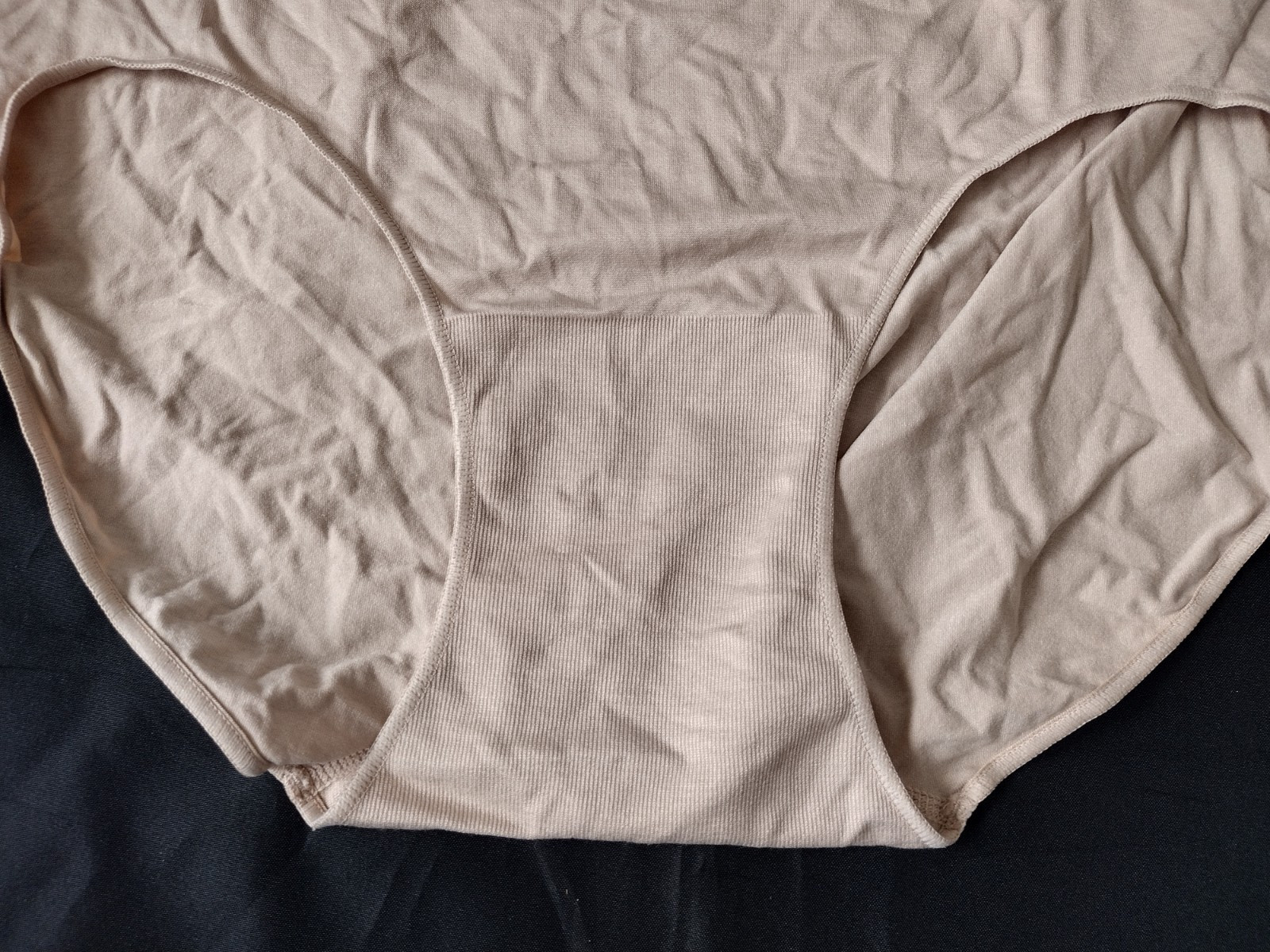 Ellen Tracy ladies’ brief stretch panty-NWOT-Sz XXL/9-taupe-nylon/spandex