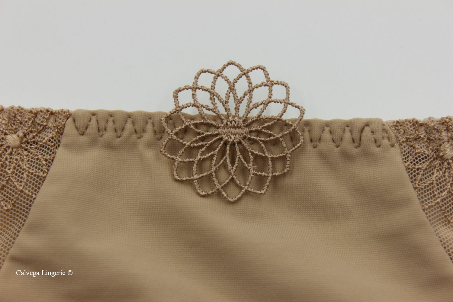 NWT SIMONE PERELE 115720 “Romance” Lace Bikini Panty, Beige, XS (1), France