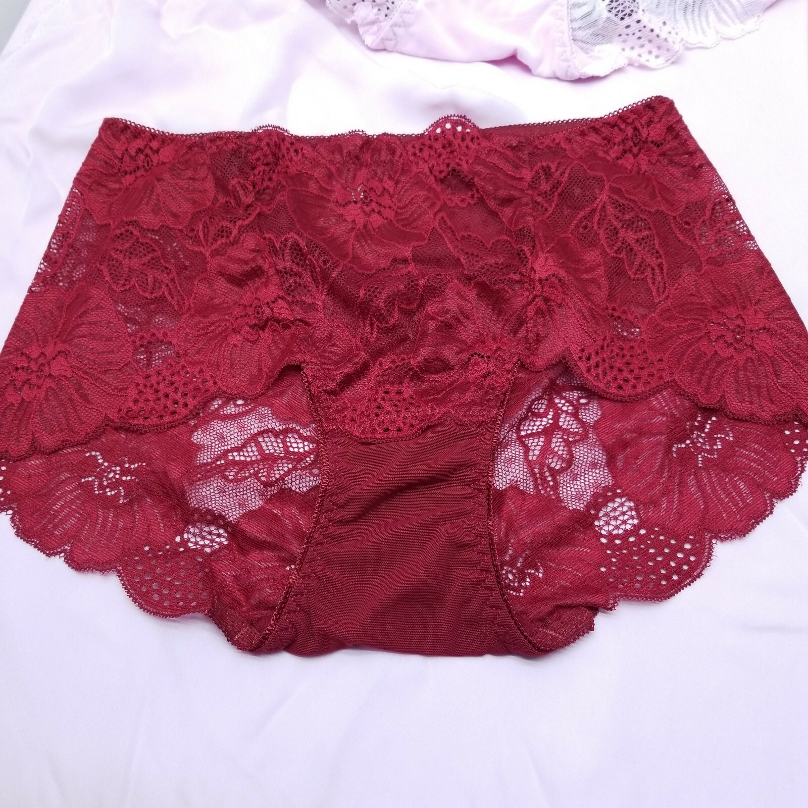 4 Pack Floral Lace Panties Sheer Brief Underwear Sexy Lingerie Nylon